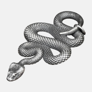 Black Mamba Snake Men's Pendant